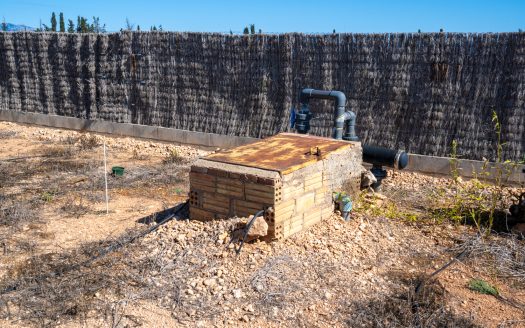 Finca d’oliveres amb aigua de reg (113)