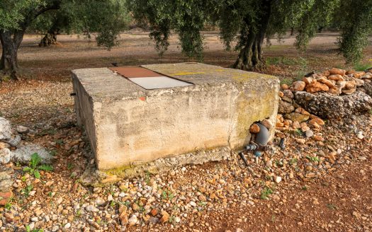 Petit projecte agrícola (137)