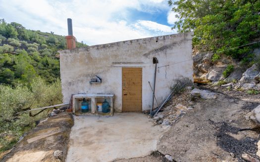 Grans vistes amb accés agrest (133)