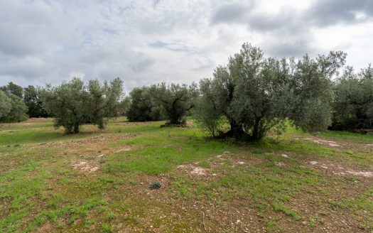 A nice spot for a picnic (140)