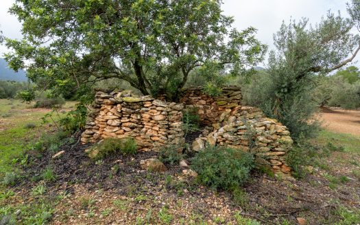 A nice spot for a picnic (140)
