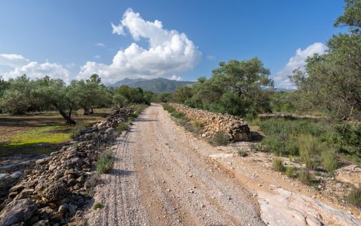 Wild piece of land in a valley (141)