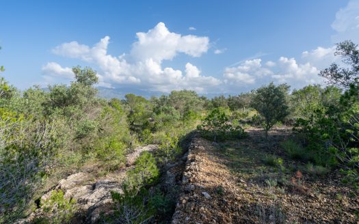 Wild piece of land in a valley (141)