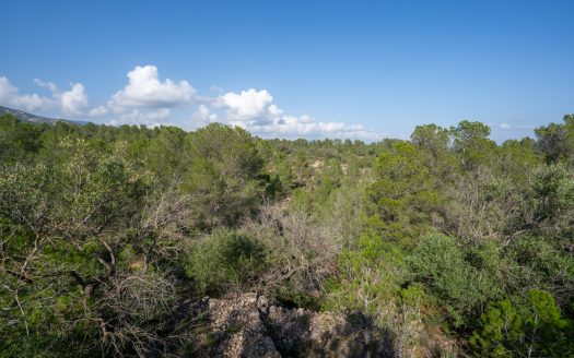 Wild piece of land in a valley (141)