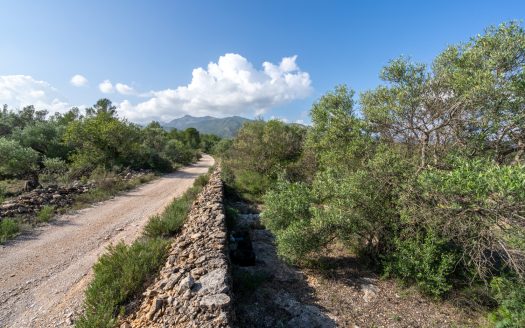 Wild piece of land in a valley (141)