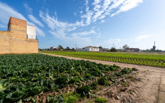 Vegetable patch with a semi-detached farmhouse (143)