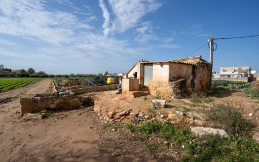 Vegetable patch with a semi-detached farmhouse (143)