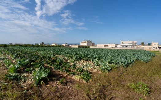 Vegetable patch with a semi-detached farmhouse (143)
