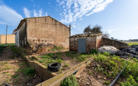 Vegetable patch with a semi-detached farmhouse (143)