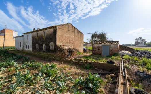 Vegetable patch with a semi-detached farmhouse (143)