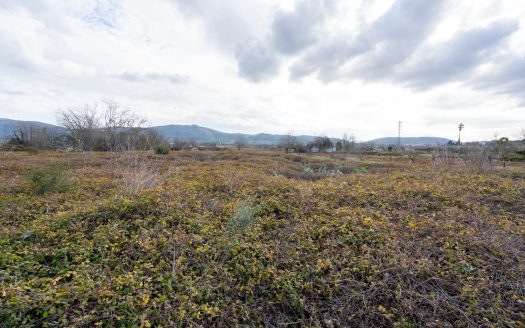 Small plot with irrigation water (168)