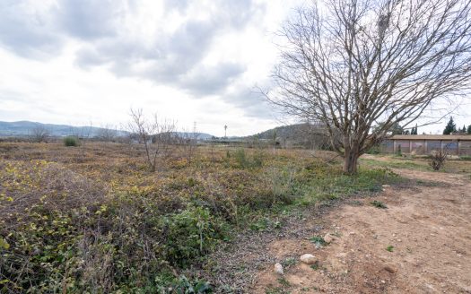 Small plot with irrigation water (168)