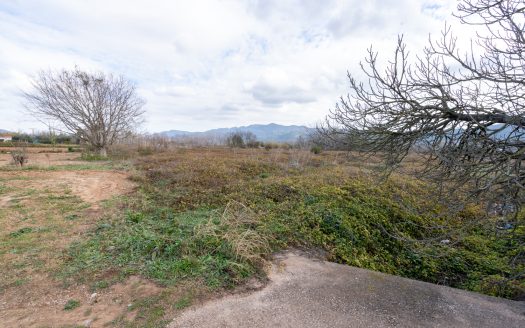 Small plot with irrigation water (168)