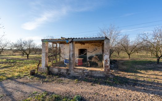 Full production almond business (173)