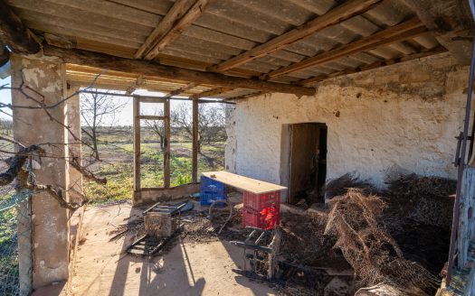 Full production almond business (173)