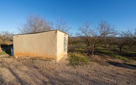 Full production almond business (173)