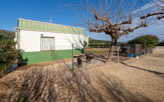 Heliport, hangar and a house (183)