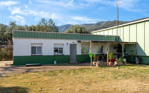 Heliport, hangar and a house (183)