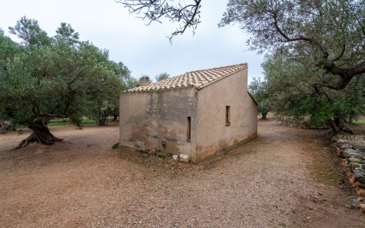 Finca amb encant (185)