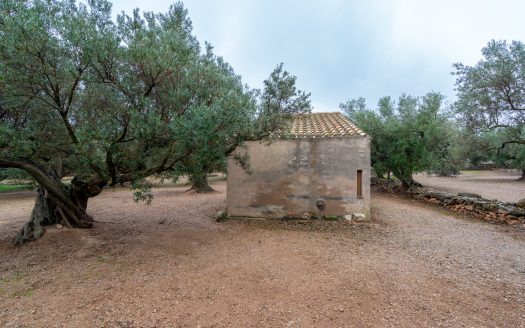 Finca amb encant (185)