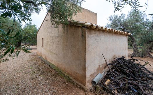 Finca amb encant (185)