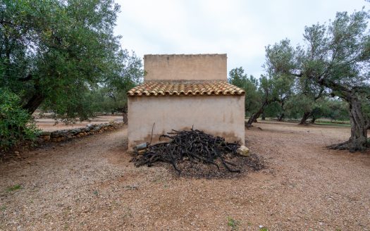 Finca amb encant (185)