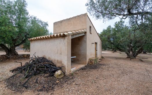 Finca amb encant (185)