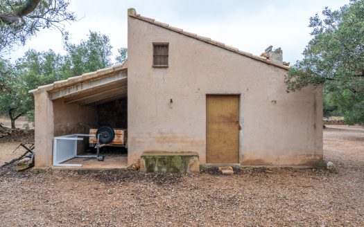 Finca amb encant (185)