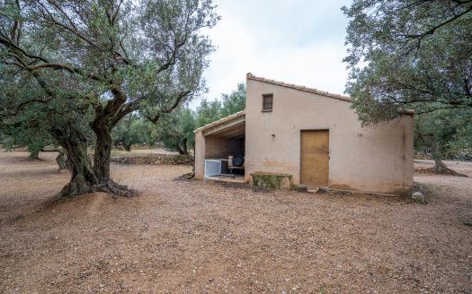 Finca amb encant (185)