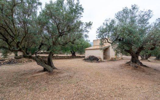 Finca amb encant (185)