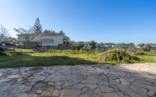 A country house in an urban land (201)