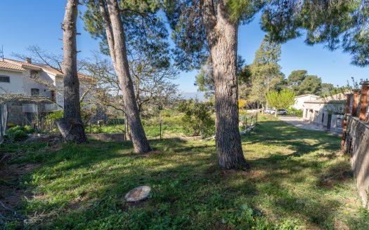 A country house in an urban land (201)