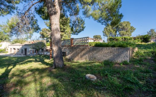 A country house in an urban land (201)