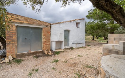 Finca d’oliveres amb aigua de reg (205)