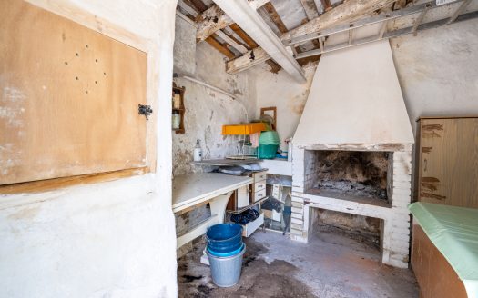 Finca d’oliveres amb aigua de reg (205)