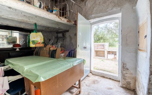 Finca d’oliveres amb aigua de reg (205)