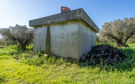 Molta imaginació (207)
