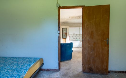 Molta imaginació (207)