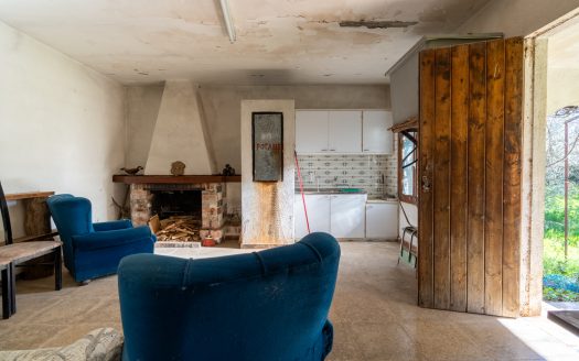 Molta imaginació (207)