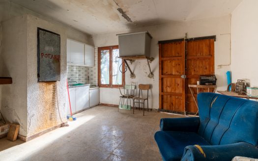 Molta imaginació (207)