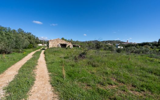 Near the village (208)