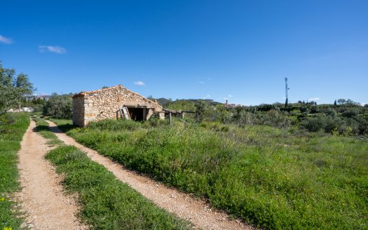 Near the village (208)