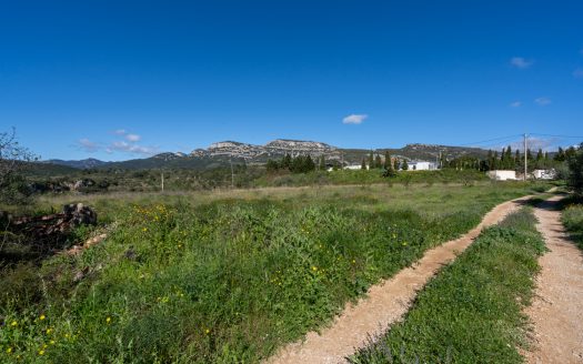 Near the village (208)
