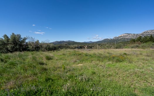 Near the village (208)