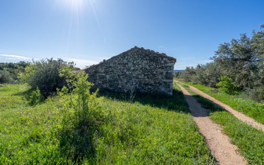 Near the village (208)