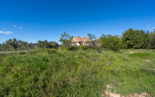 Near the village (208)