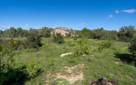 Near the village (208)