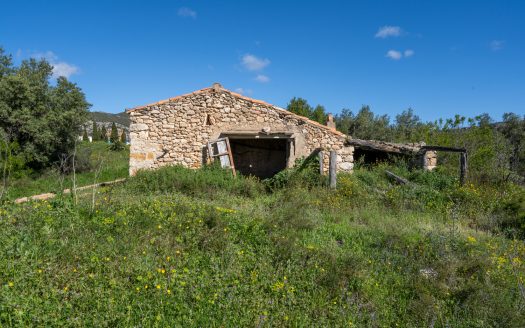 Near the village (208)