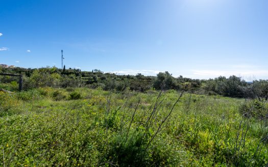 Near the village (208)