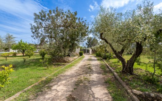 Charming countryside villa (210)